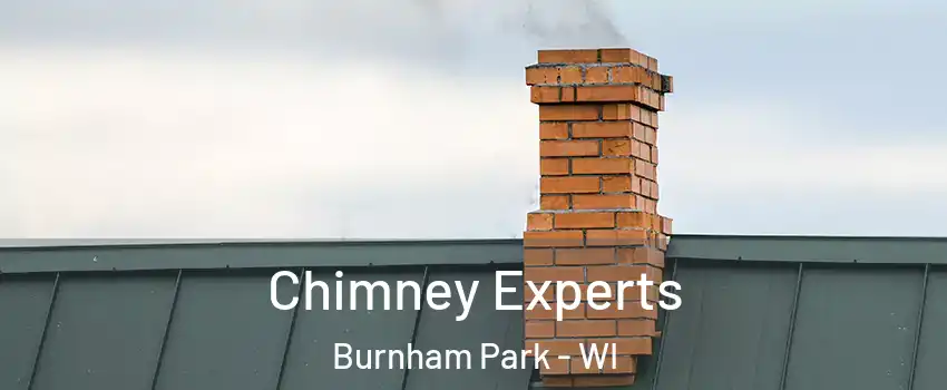 Chimney Experts Burnham Park - WI