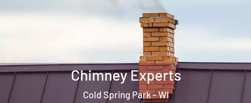 Chimney Experts Cold Spring Park - WI