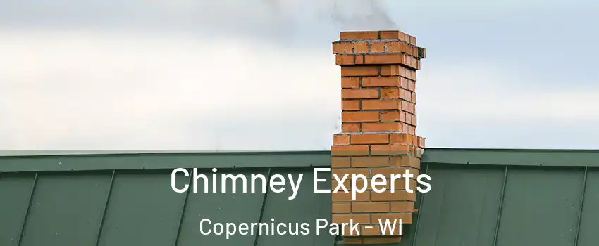 Chimney Experts Copernicus Park - WI