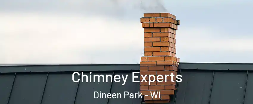 Chimney Experts Dineen Park - WI