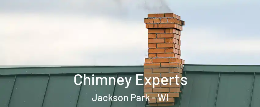 Chimney Experts Jackson Park - WI