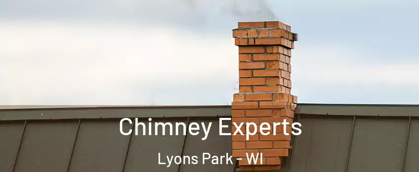 Chimney Experts Lyons Park - WI