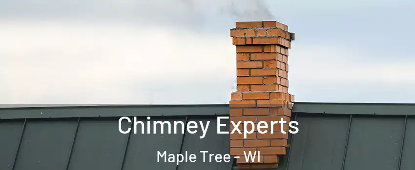 Chimney Experts Maple Tree - WI