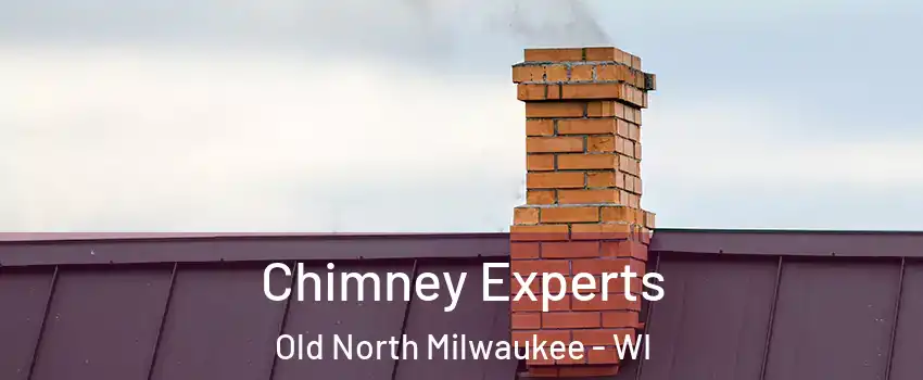 Chimney Experts Old North Milwaukee - WI