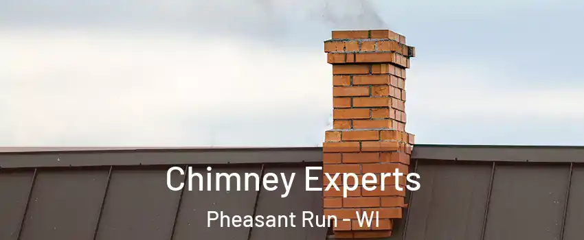 Chimney Experts Pheasant Run - WI