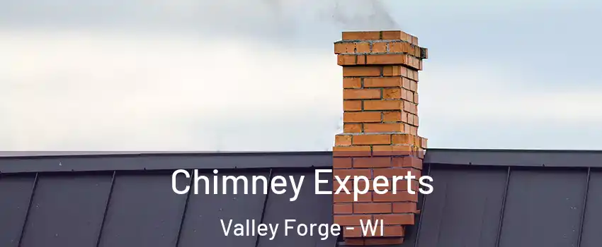 Chimney Experts Valley Forge - WI