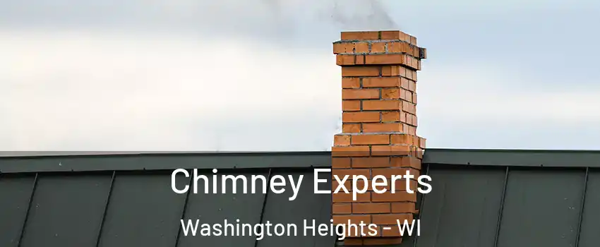 Chimney Experts Washington Heights - WI