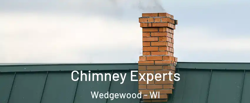 Chimney Experts Wedgewood - WI