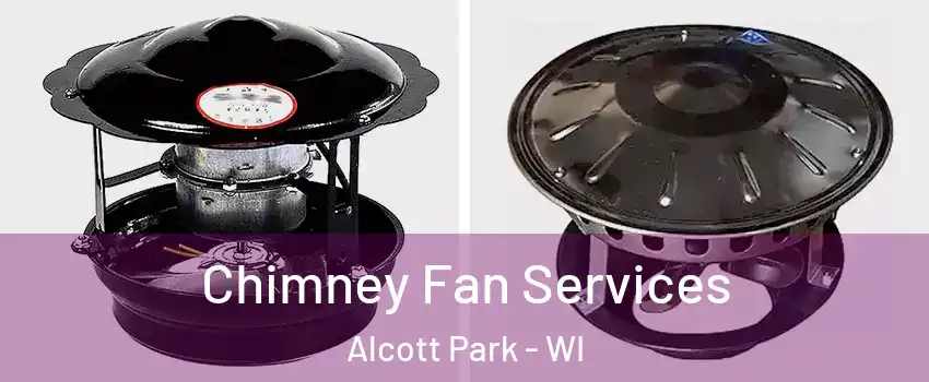 Chimney Fan Services Alcott Park - WI