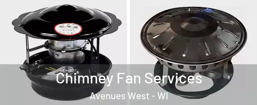 Chimney Fan Services Avenues West - WI