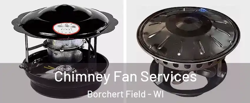 Chimney Fan Services Borchert Field - WI