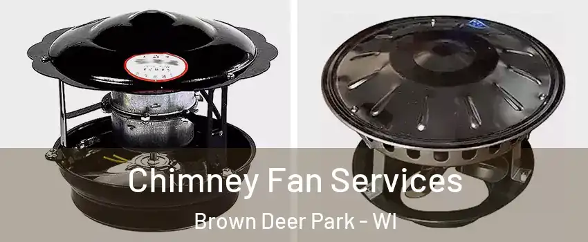 Chimney Fan Services Brown Deer Park - WI