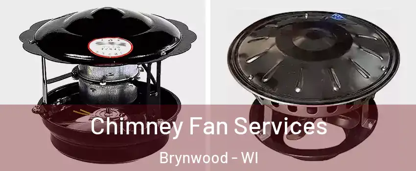 Chimney Fan Services Brynwood - WI