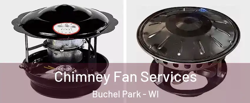 Chimney Fan Services Buchel Park - WI