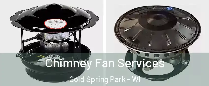 Chimney Fan Services Cold Spring Park - WI