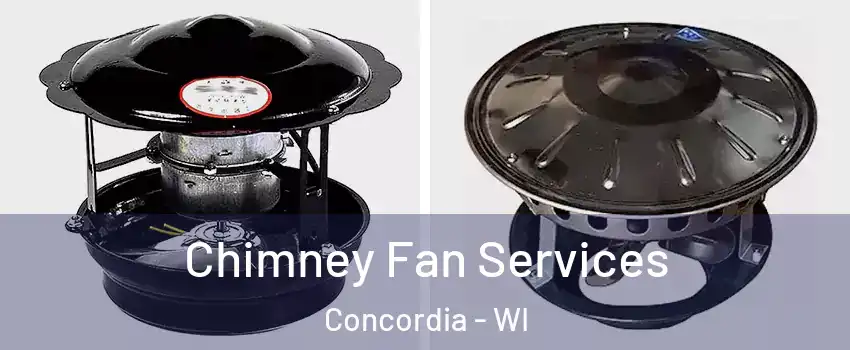 Chimney Fan Services Concordia - WI