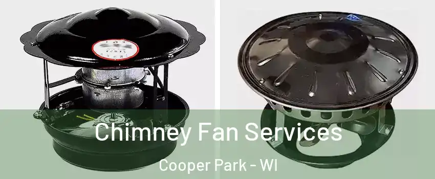 Chimney Fan Services Cooper Park - WI