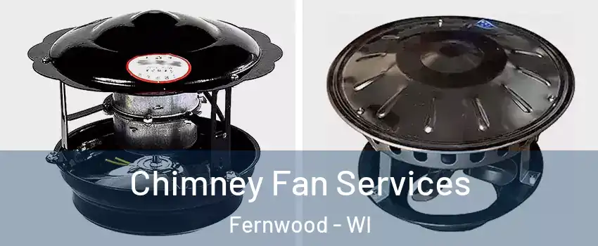 Chimney Fan Services Fernwood - WI