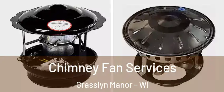 Chimney Fan Services Grasslyn Manor - WI