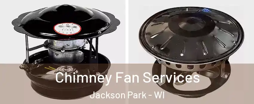 Chimney Fan Services Jackson Park - WI