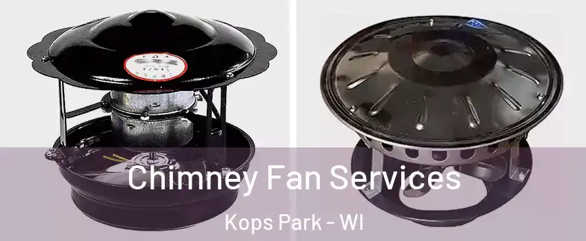 Chimney Fan Services Kops Park - WI