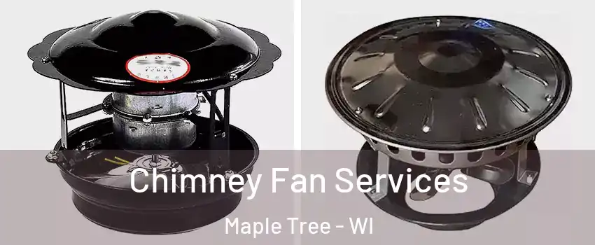 Chimney Fan Services Maple Tree - WI