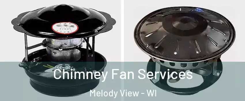 Chimney Fan Services Melody View - WI