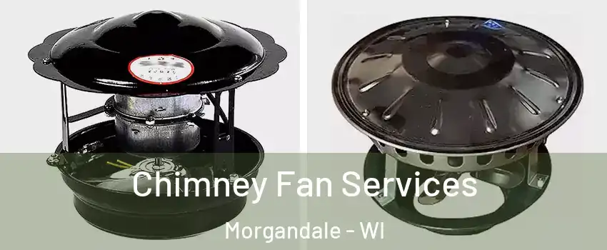 Chimney Fan Services Morgandale - WI