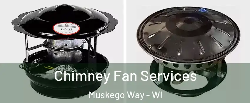 Chimney Fan Services Muskego Way - WI