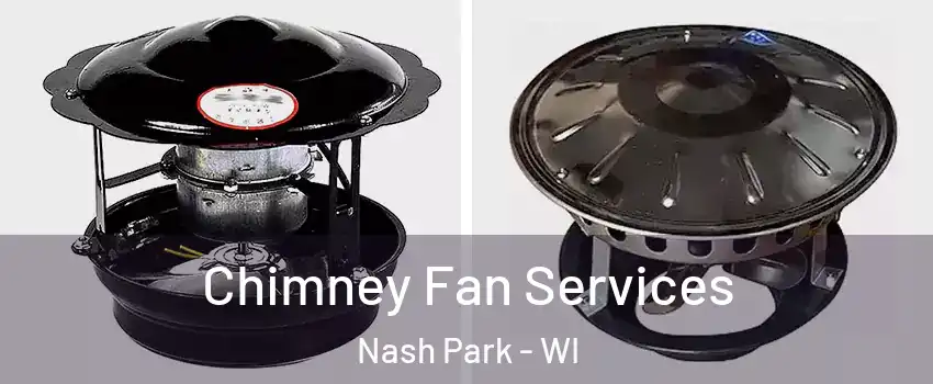 Chimney Fan Services Nash Park - WI