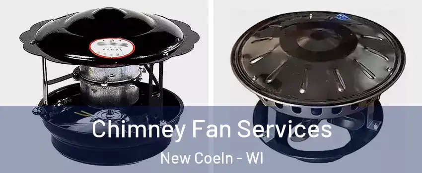 Chimney Fan Services New Coeln - WI