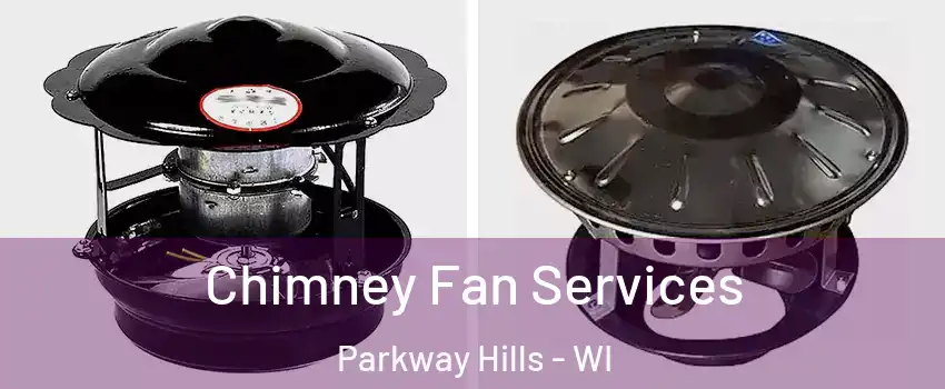 Chimney Fan Services Parkway Hills - WI