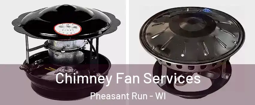 Chimney Fan Services Pheasant Run - WI