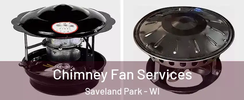 Chimney Fan Services Saveland Park - WI