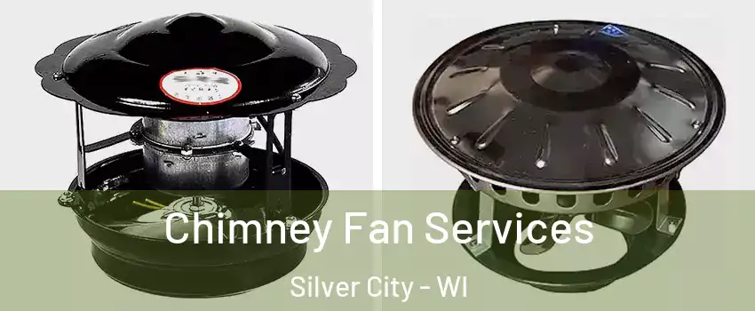 Chimney Fan Services Silver City - WI