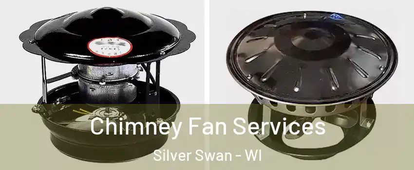 Chimney Fan Services Silver Swan - WI