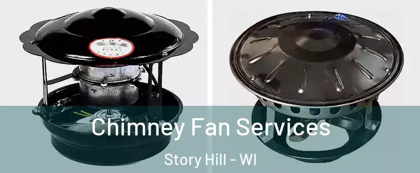 Chimney Fan Services Story Hill - WI