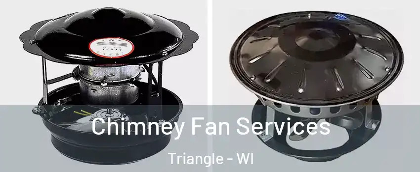 Chimney Fan Services Triangle - WI