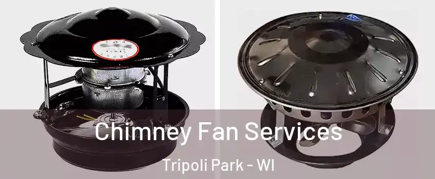 Chimney Fan Services Tripoli Park - WI