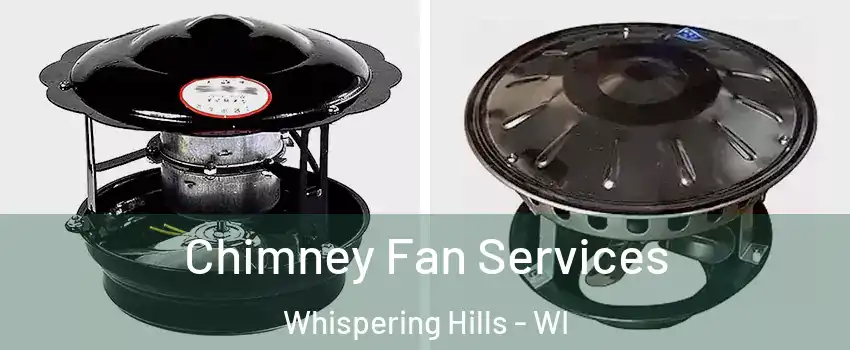 Chimney Fan Services Whispering Hills - WI