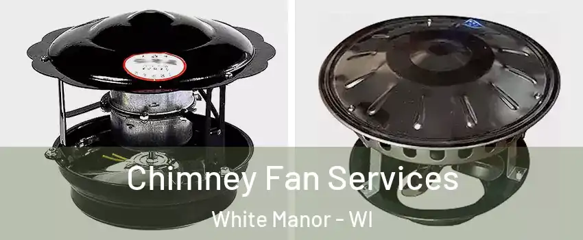 Chimney Fan Services White Manor - WI