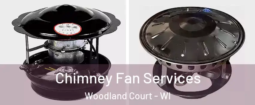 Chimney Fan Services Woodland Court - WI