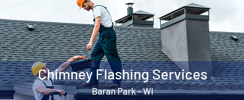 Chimney Flashing Services Baran Park - WI