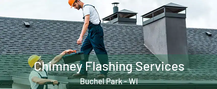 Chimney Flashing Services Buchel Park - WI