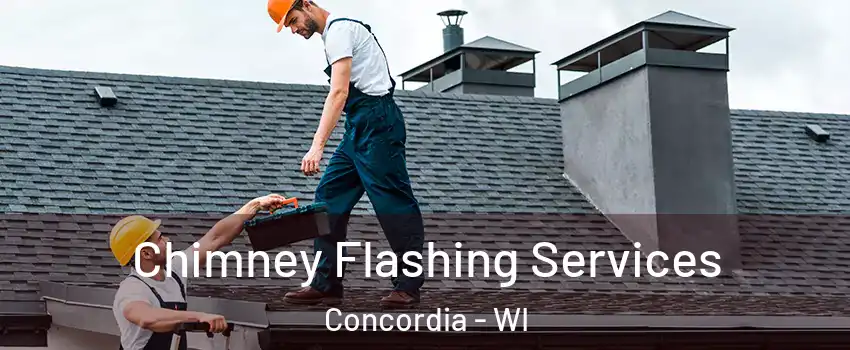 Chimney Flashing Services Concordia - WI