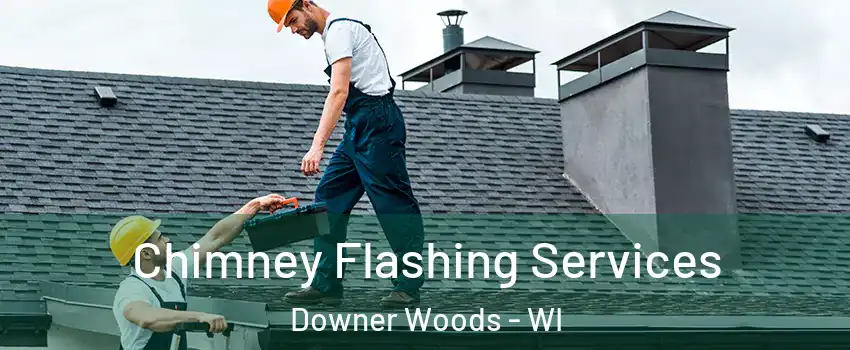 Chimney Flashing Services Downer Woods - WI