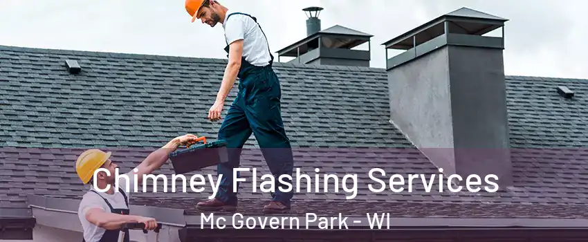 Chimney Flashing Services Mc Govern Park - WI