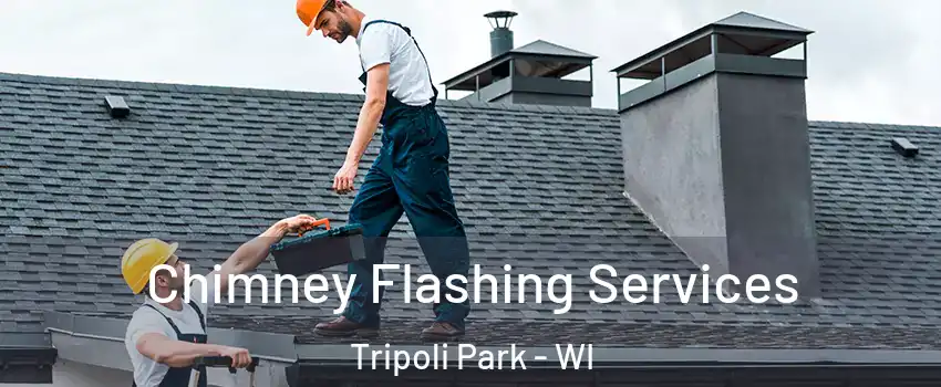 Chimney Flashing Services Tripoli Park - WI