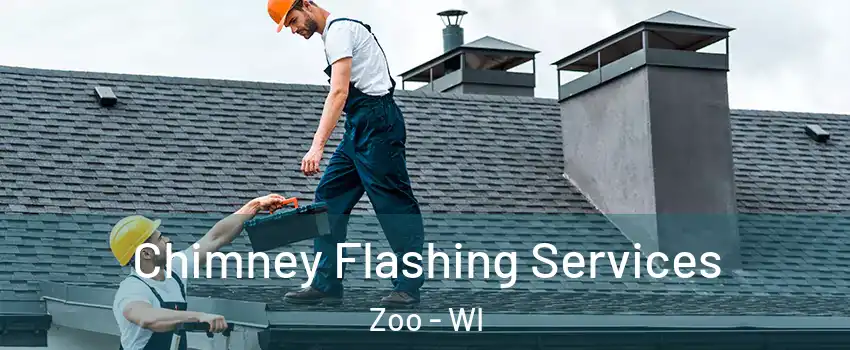 Chimney Flashing Services Zoo - WI