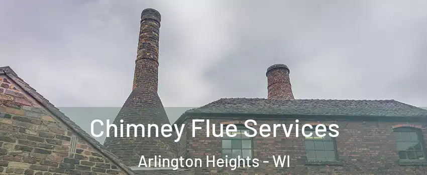 Chimney Flue Services Arlington Heights - WI